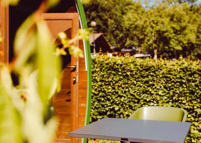 Leaf Du Nord Dirbach